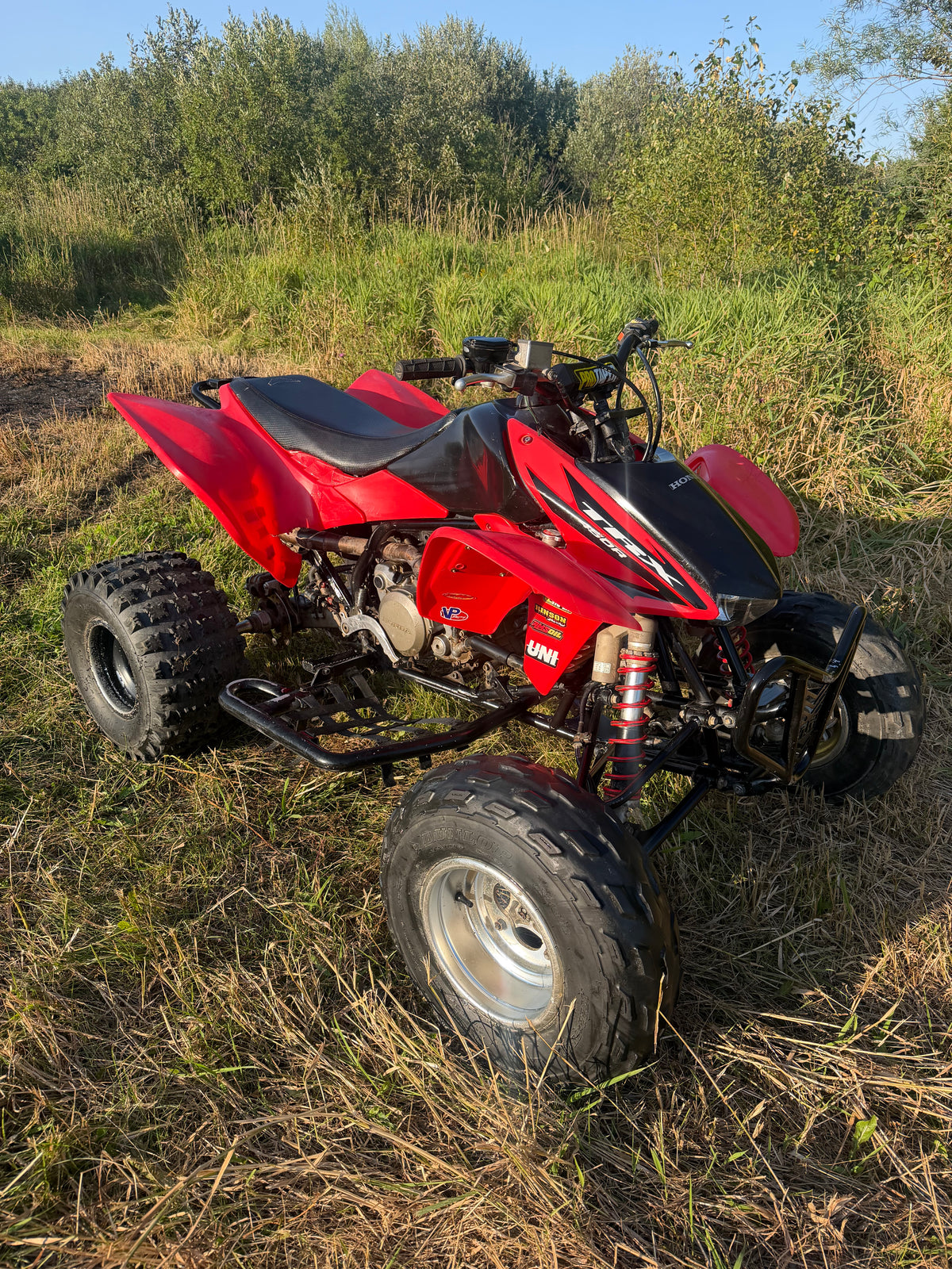 2006 trx450r