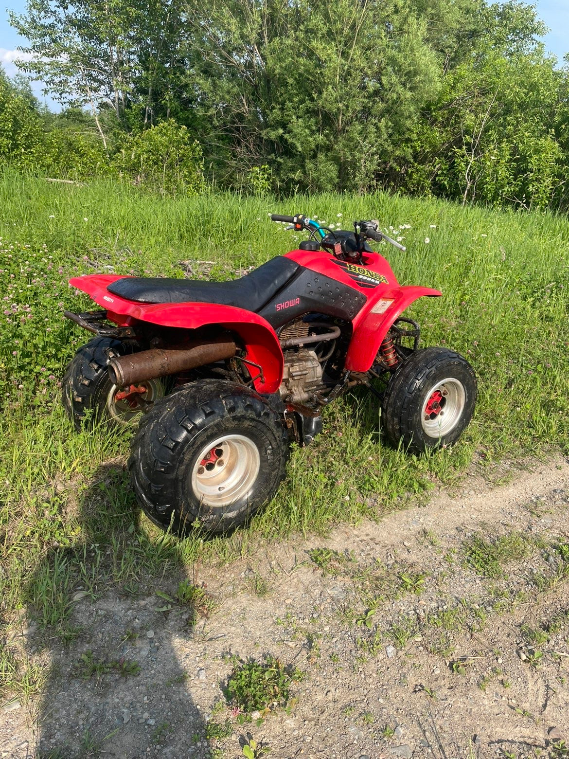 2001 trx250ex