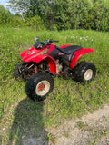 2001 trx250ex