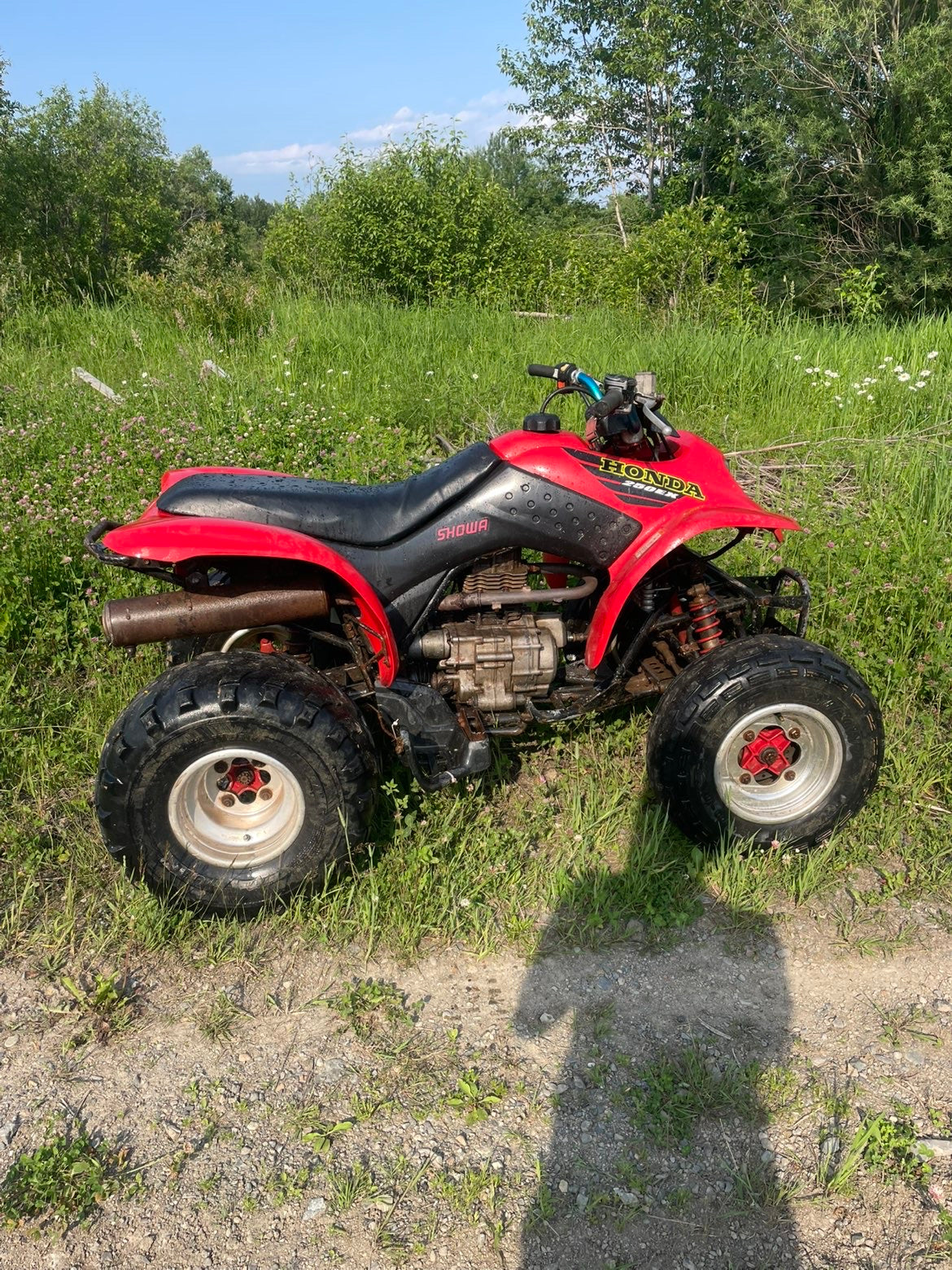 2001 trx250ex