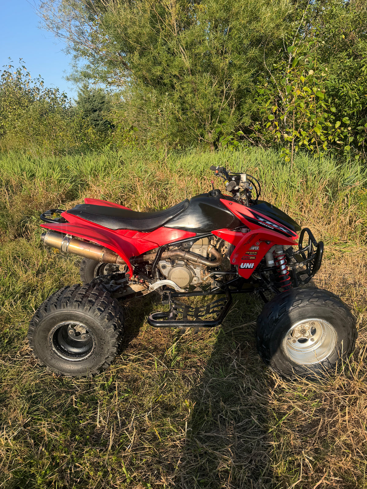 2006 trx450r