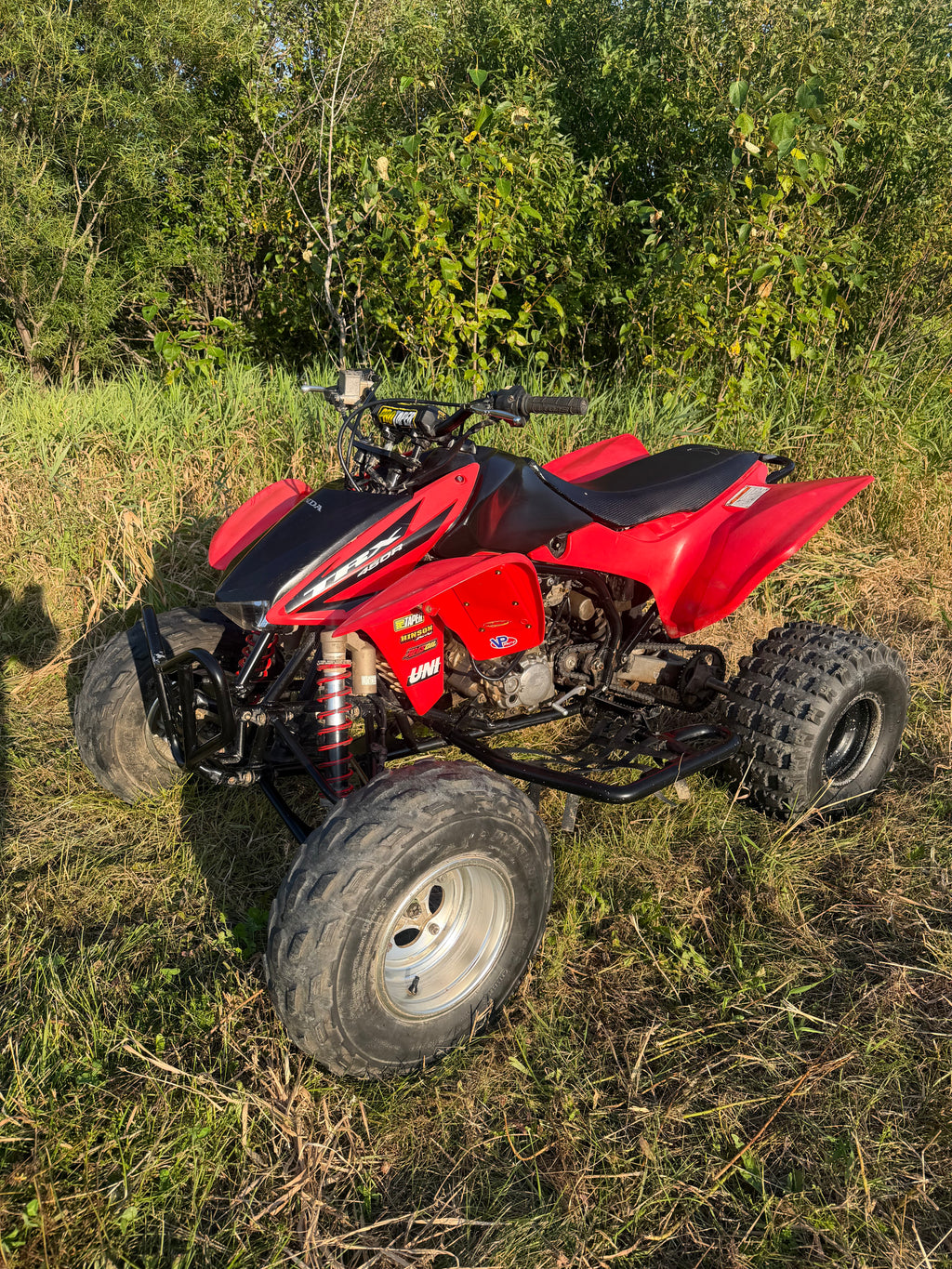 2006 trx450r