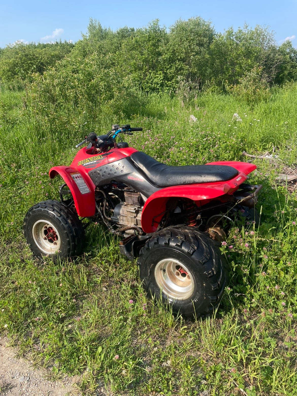 2001 trx250ex