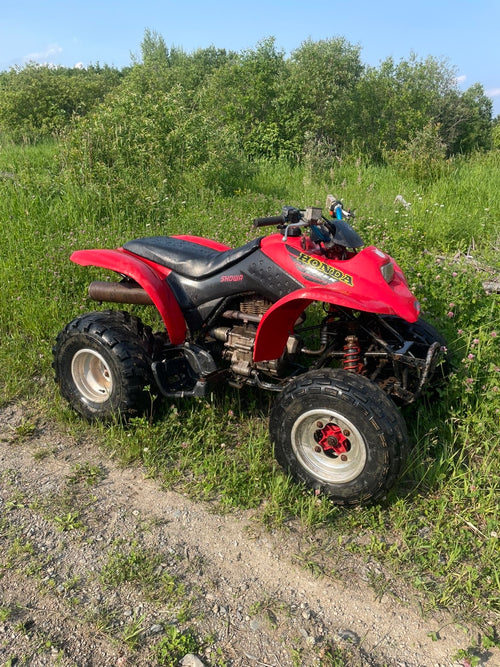 2001 trx250ex