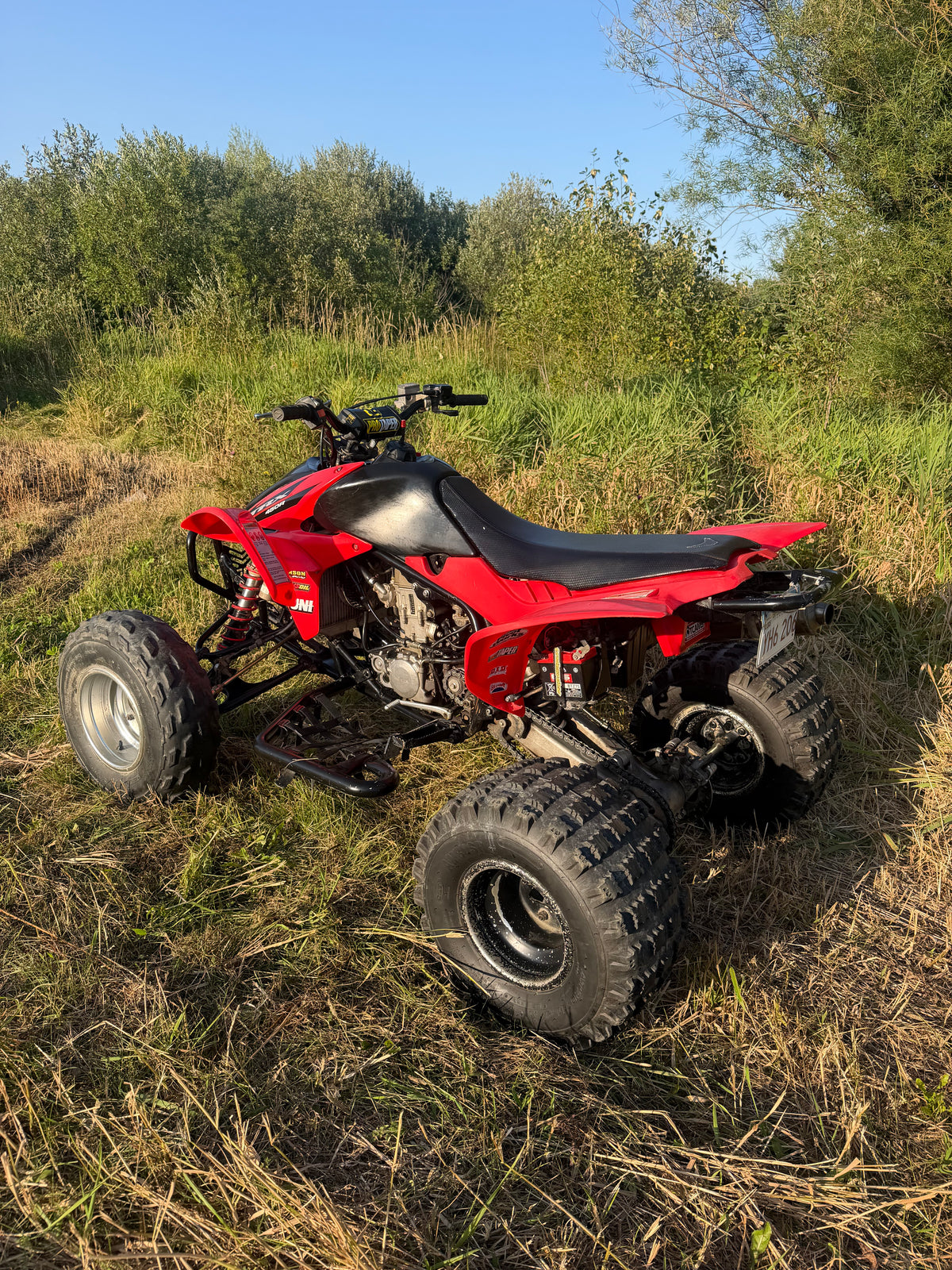 2006 trx450r