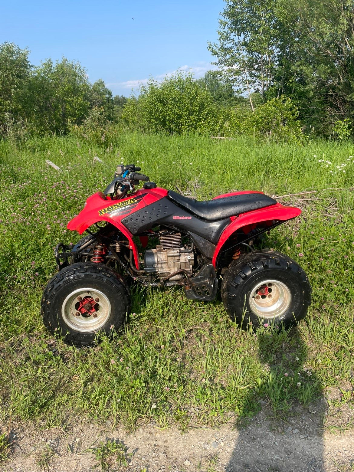 2001 trx250ex